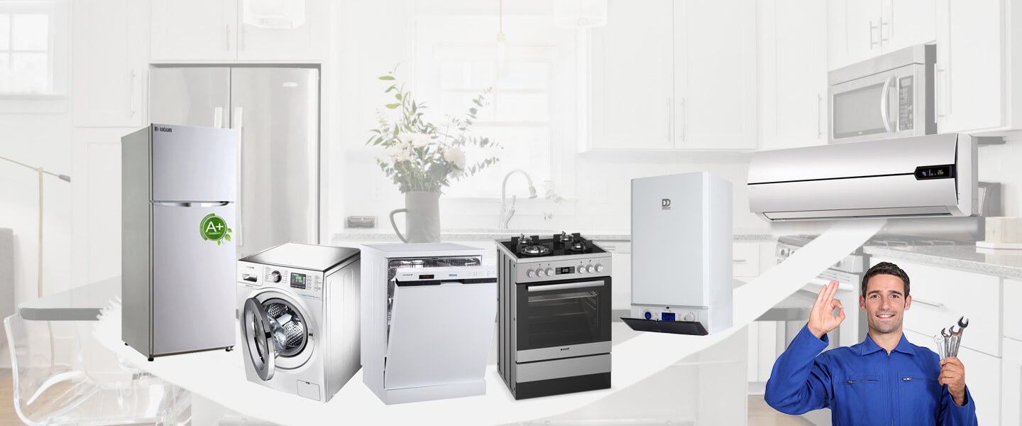 Bayramiç Grundig Servisi